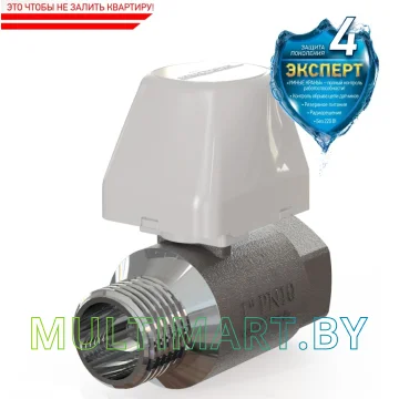Кран Аквасторож-25 АК33 Эксперт 1"